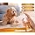 POTTY‑NO – Urine & Odor Remover Spray for Cats & Dogs | 3-in-1 Enzymatic Formula | Stain & Odor Remover + Frequent Urination Prevention | 125ml
