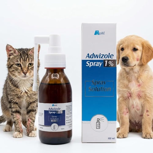Adwizole Skin Fungus Treatment Spray for Dogs and Cats - Fast and Safe Effectiveness - 100ml