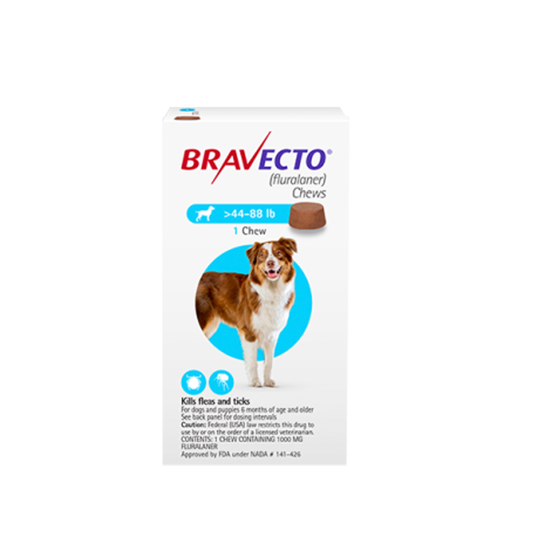 BRAVECTO Chewable Tablet for Large Dogs (20–40 kg) – 1000 mg x 1 Tablet