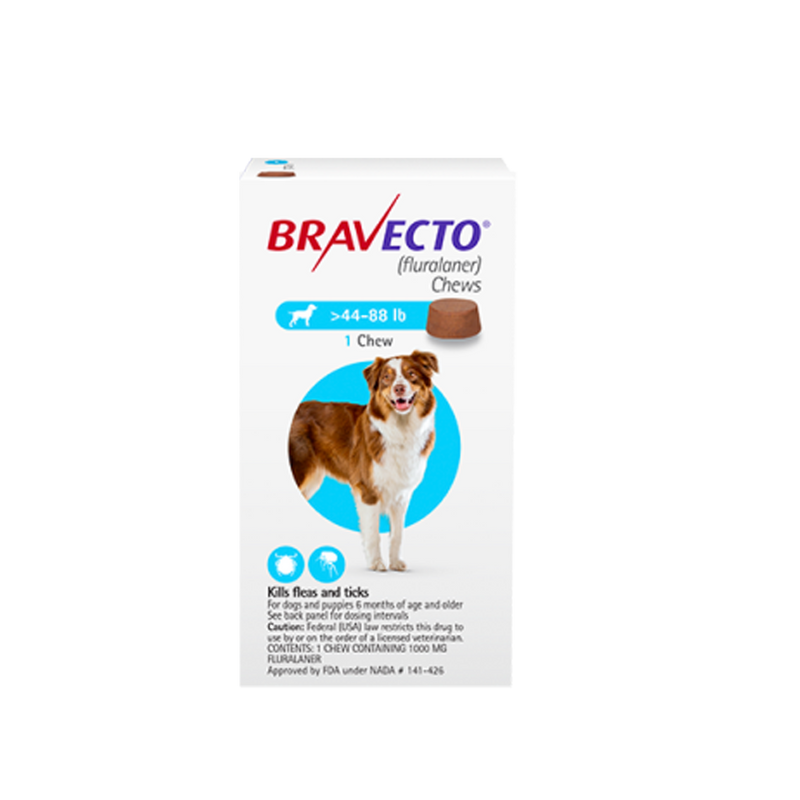 BRAVECTO Chewable Tablet for Large Dogs (20–40 kg) – 1000 mg x 1 Tablet