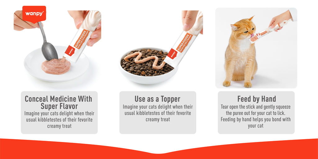Wanpy Superfoods – How to serve – topper, hand feeding, medicine