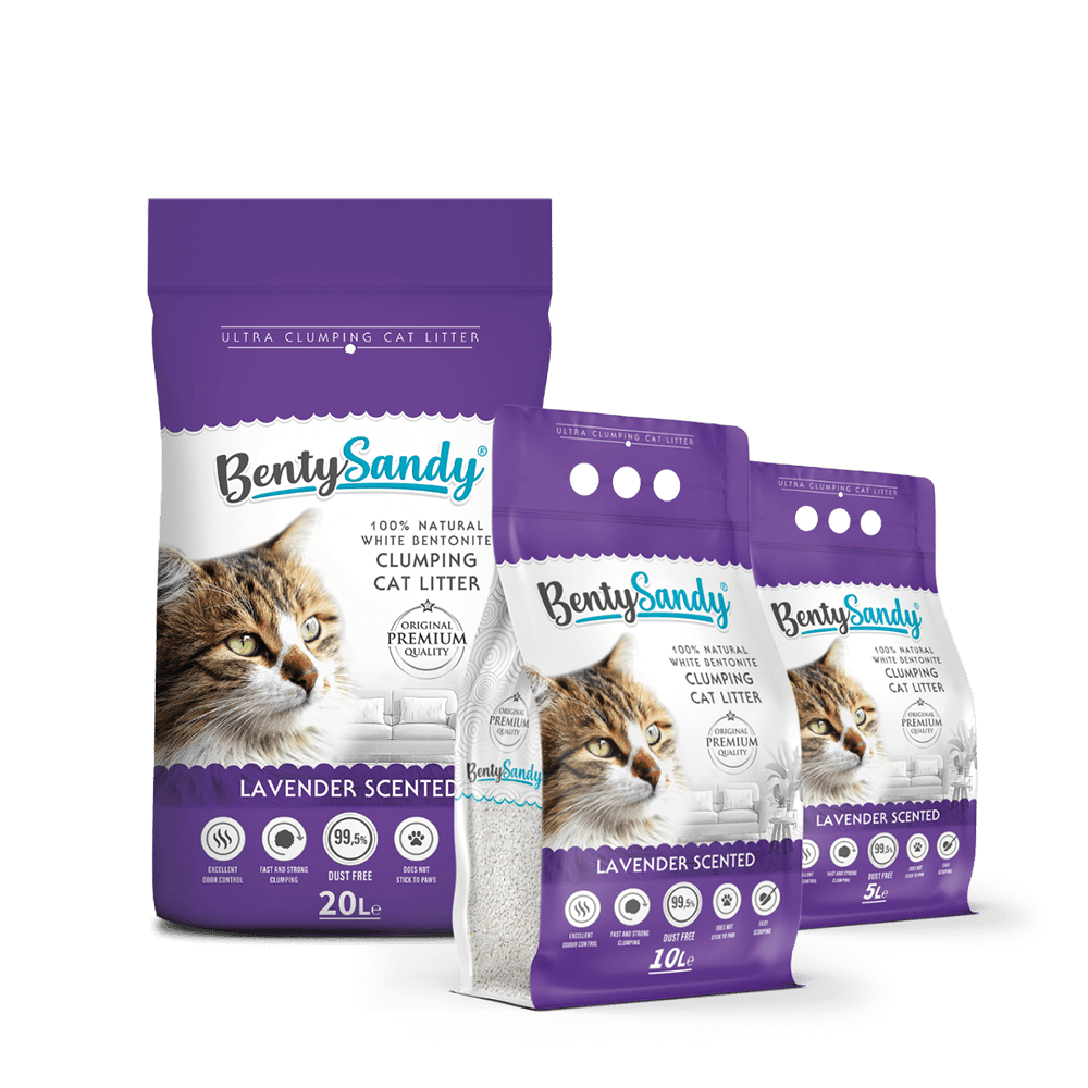 Benty Sandy Lavender 5L 10L 20L