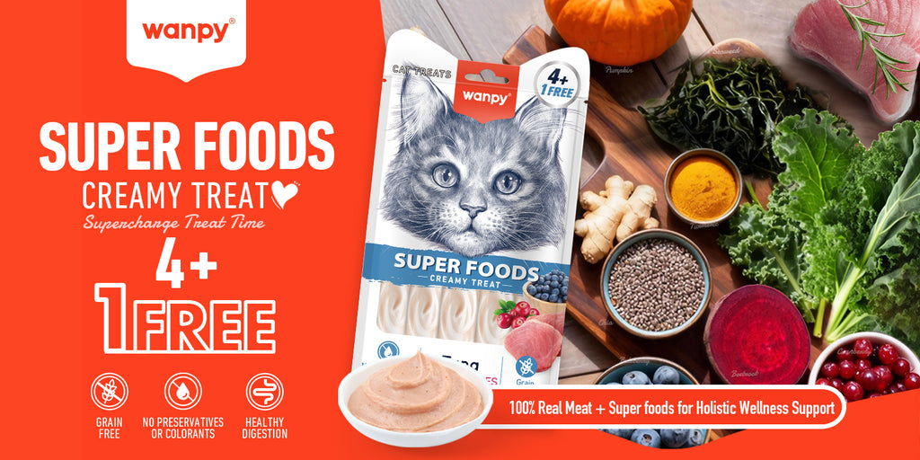 Wanpy Superfoods – Superfoods creamy treat 4+1 free