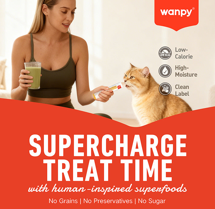 Wanpy Superfoods – Supercharge treat time with superfoods
